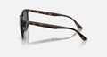 RB4378 WOMEN'S Havana / Dark Blue |  Dial