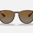 ERIKA CLASSIC LADIES / TRANSPARENT DARK BROWN-BROWN GRADIENT POLAR