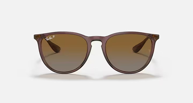 ERIKA CLASSIC LADIES / TRANSPARENT DARK BROWN-BROWN GRADIENT POLAR