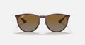 ERIKA CLASSIC LADIES / TRANSPARENT DARK BROWN-BROWN GRADIENT POLAR