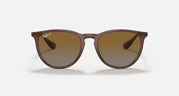 ERIKA CLASSIC LADIES / TRANSPARENT DARK BROWN-BROWN GRADIENT POLAR