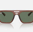 CORRIGAN BIO-BASED UNISEX / TRANSPARENT BROWN - DARK GREEN |  Dial