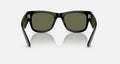 MEGA WAYFARER UNISEX Black / Green Polar |  Dial