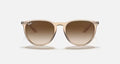 ERIKA COLOR MIX LADIES / TRANSPARENT LIGHT BROWN / BROWN GRADIENT DARK BROWN |  Dial