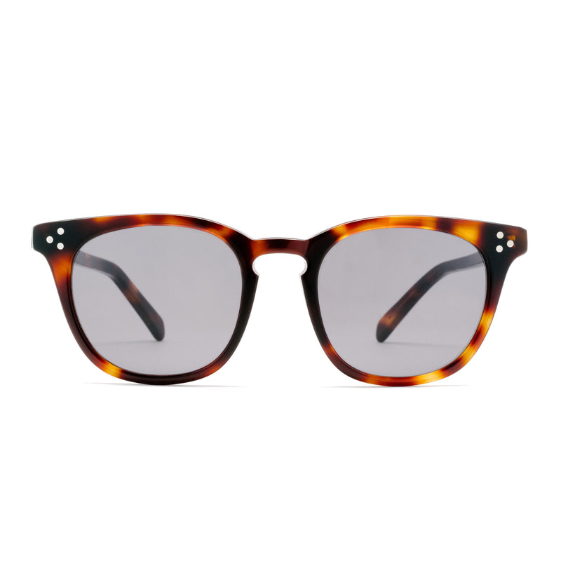 The Cambridge Tortoise |  Dial