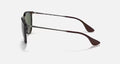 ERIKA CLASSIC MENS / LIGHT HAVANA-GREEN |  Dial