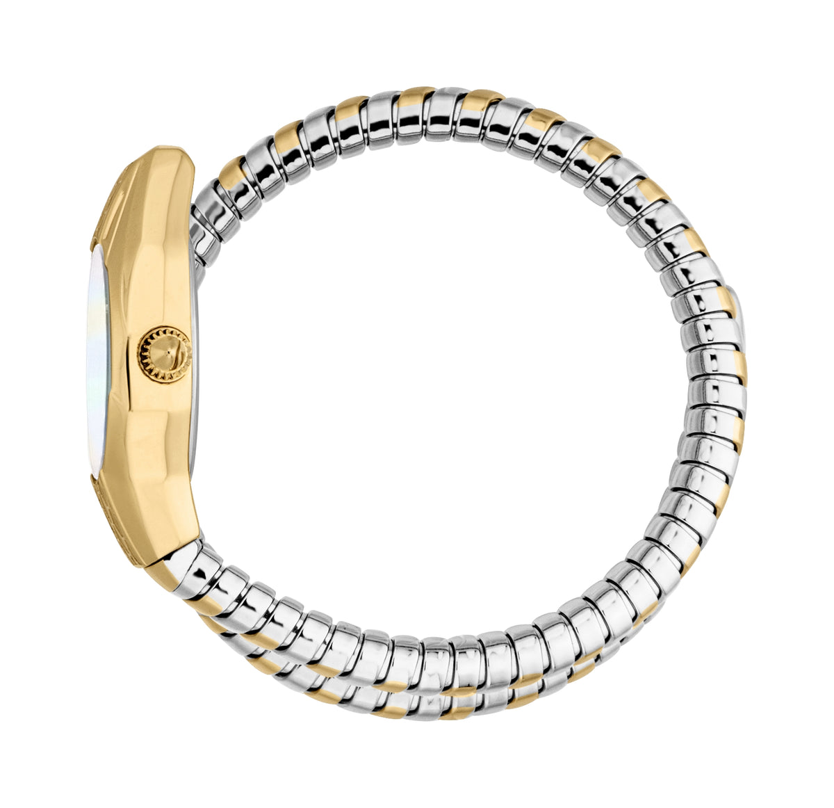 Just-Cavalli Watches – Japan – Watch Gang