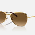 RB3733 UNISEX Arista / Brown Gradient Polar |  Dial