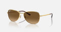 RB3733 UNISEX Arista / Brown Gradient Polar |  Dial