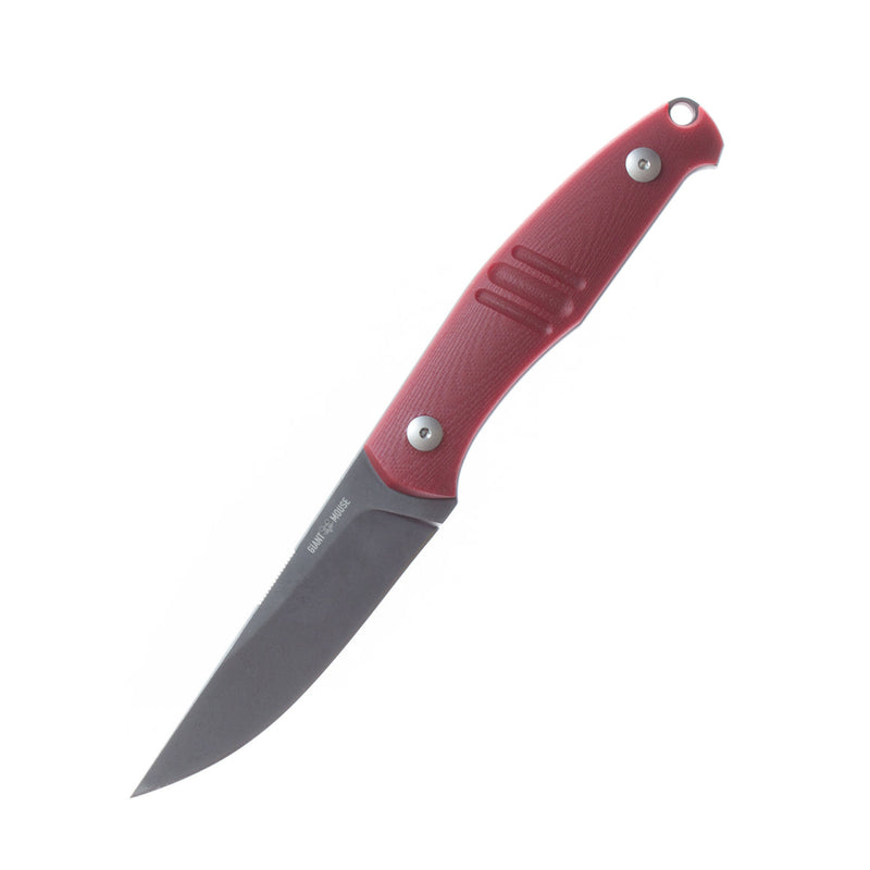GMF2-P-R Red G10 PVD |  Dial