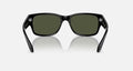 RB4388 UNISEX Black / Green |  Dial