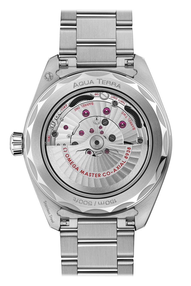 Seamaster Aqua Terra GMT Worldtimer |  Dial
