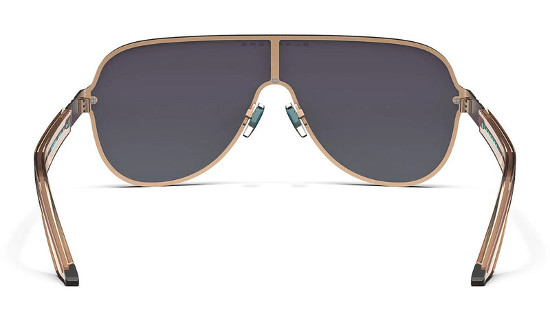 FALCON CHAMPAGNE / BLUE RAINBOW POLARIZED |  Dial