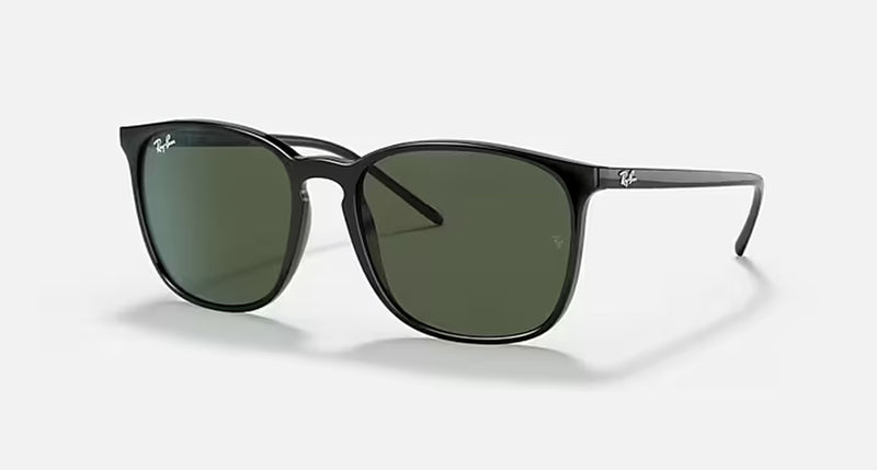 RB4387 UNISEX / BLACK-DARK GREEN