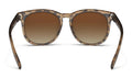 H SERIES BROWN TORTOISE / YELLOW POLARIZED |  Dial