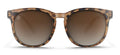 H SERIES BROWN TORTOISE / YELLOW POLARIZED |  Dial