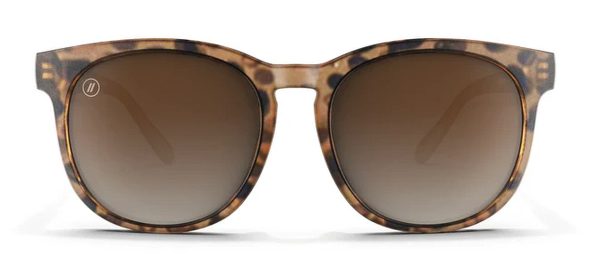 H SERIES BROWN TORTOISE / YELLOW POLARIZED |  Dial