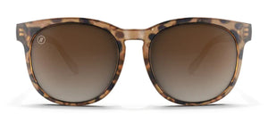H SERIES BROWN TORTOISE / YELLOW POLARIZED |  Dial
