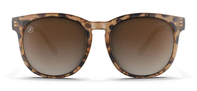 H SERIES BROWN TORTOISE / YELLOW POLARIZED |  Dial