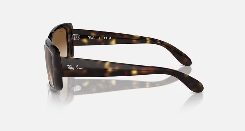 RB4389 WOMEN'S Havana / Clear Gradient Brown |  Dial