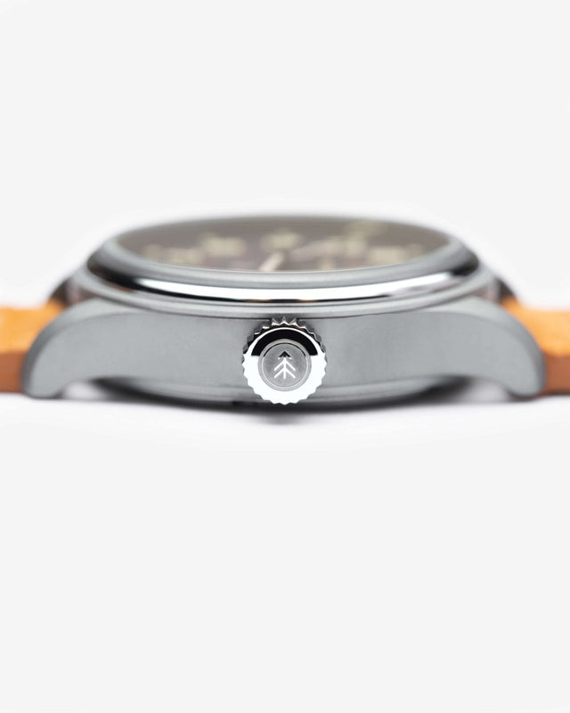 The Smokey Bear Campfire Edition