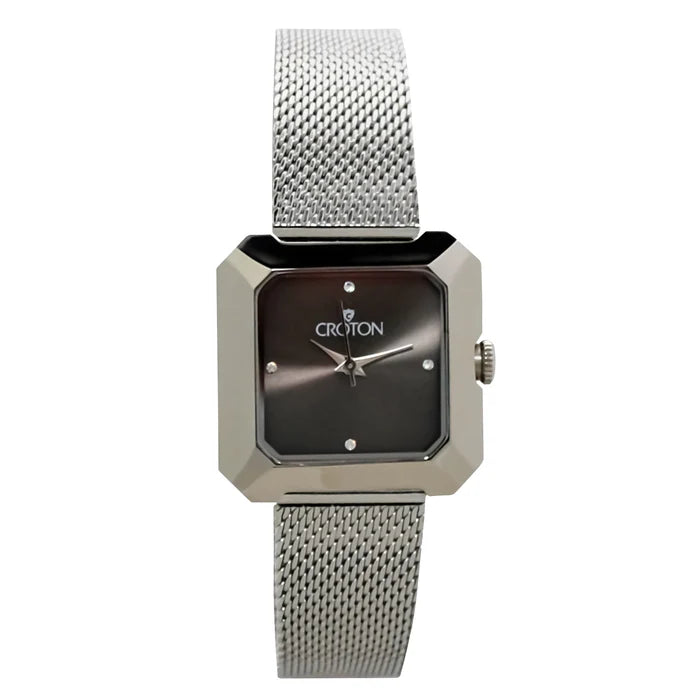 Ladies All Stainless Steel Silvertone Mesh Bracelet Watch with Gray Dial  |  Dial