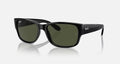 RB4388 UNISEX Black / Green |  Dial