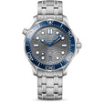 Seamaster Diver 300M Co‑Axial Master Chronometer 42 MM | Gray Dial
