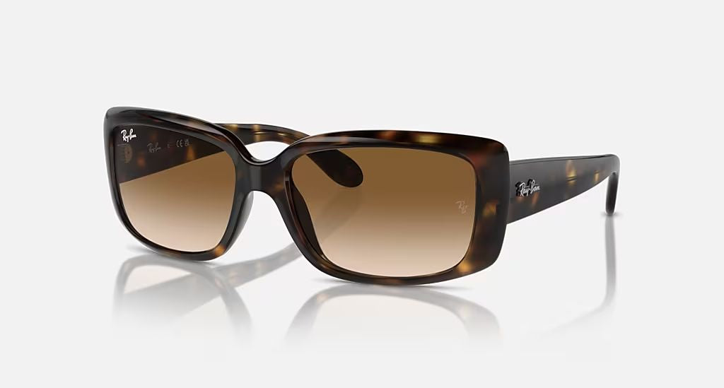 RB4389 WOMEN'S Havana / Clear Gradient Brown |  Dial
