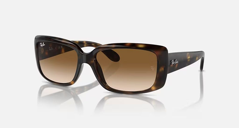 RB4389 WOMEN'S Havana / Clear Gradient Brown |  Dial