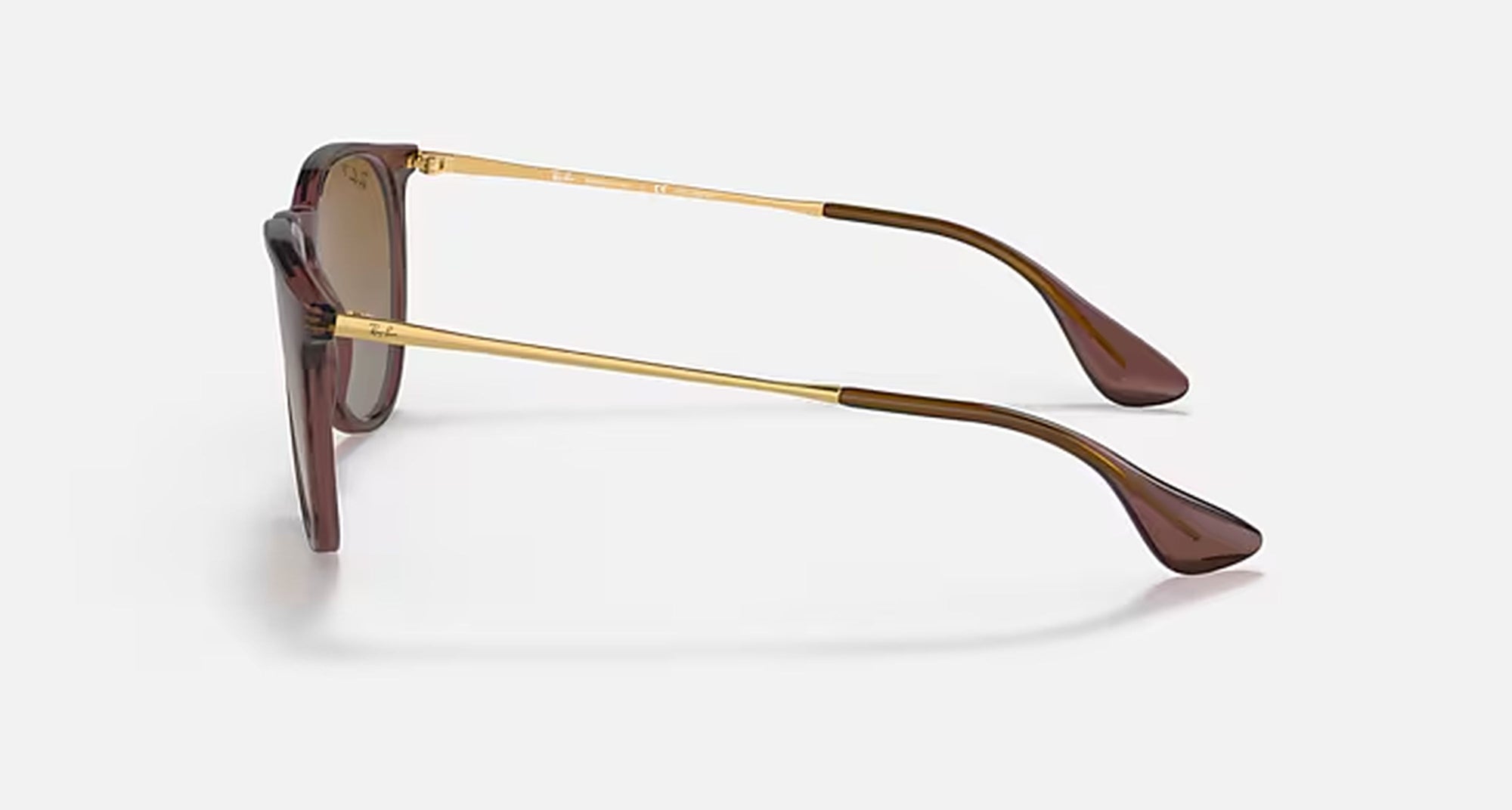ERIKA CLASSIC LADIES / TRANSPARENT DARK BROWN-BROWN GRADIENT POLAR