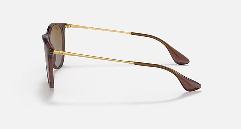 ERIKA CLASSIC LADIES / TRANSPARENT DARK BROWN-BROWN GRADIENT POLAR