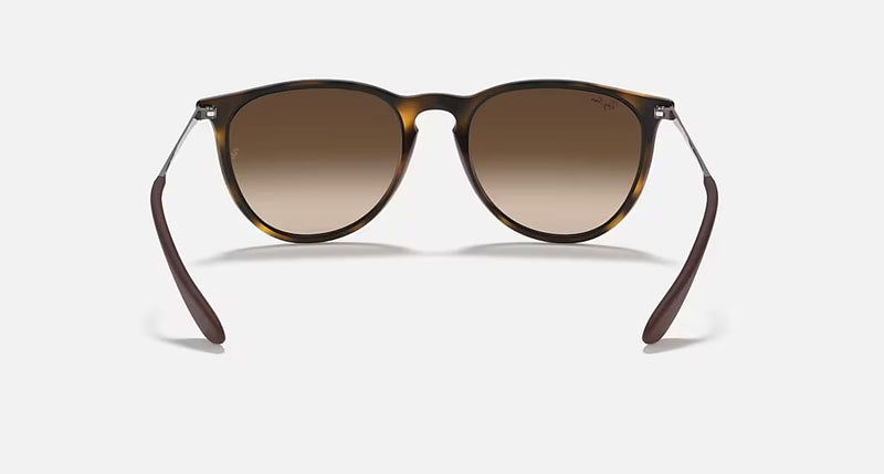 ERIKA CLASSIC MEN'S Rubber Havana / Brown Gradient