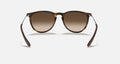 ERIKA CLASSIC MEN'S Rubber Havana / Brown Gradient
