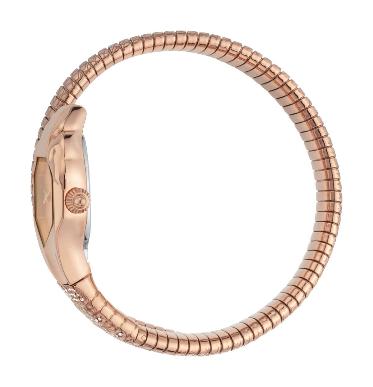 Just-Cavalli Watches – Japan – Watch Gang
