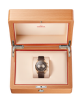 Speedmaster Chronoscope 43mm Brown | Brown Dial