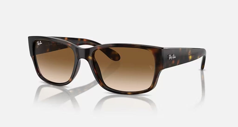 RB4388 UNISEX Havana / Clear Gradient Brown |  Dial