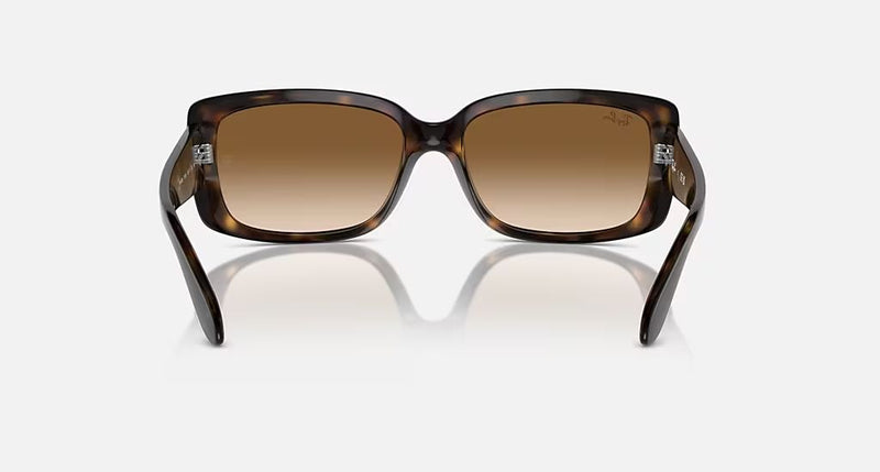 RB4389 WOMEN'S Havana / Clear Gradient Brown |  Dial