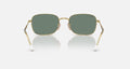 RB3706 UNISEX Arista / Polar Grey |  Dial